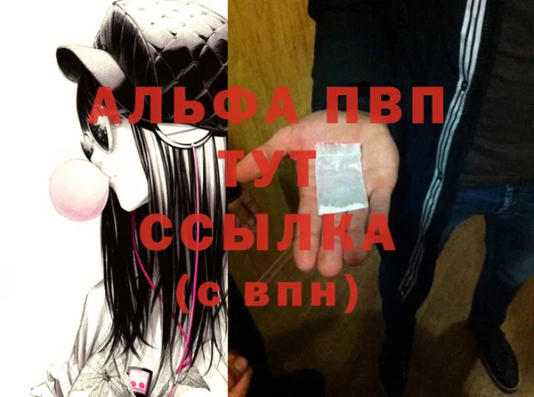 стафф Богородск